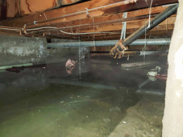 Best Flood damage cleanup  in Waterloo, IA