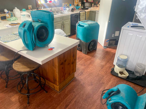Best 24/7 water damage repair  in Waterloo, IA