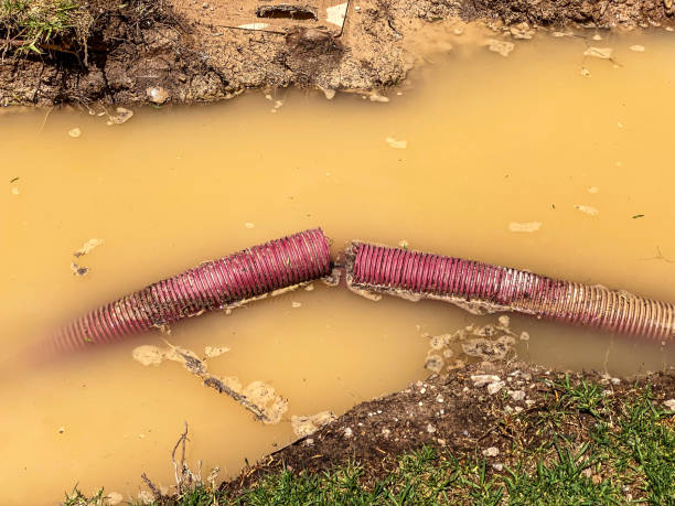 Best Local water damage restoration  in Waterloo, IA